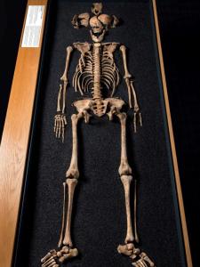 skeleton-lant-street-teenager-museum-london